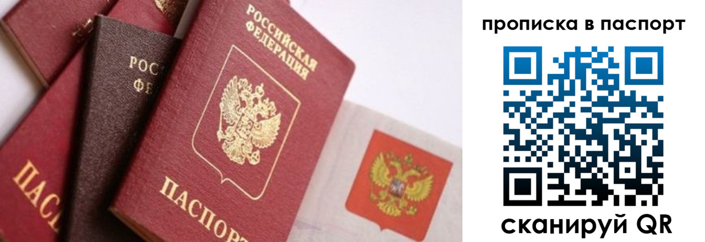 прописка штамп в Амурске